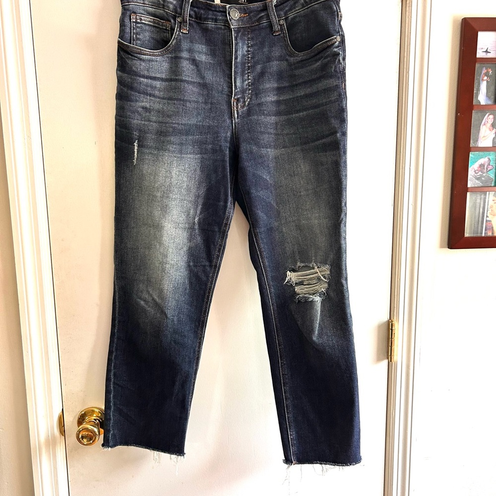 Kut from the Kloth Ab Fab Mom Jean